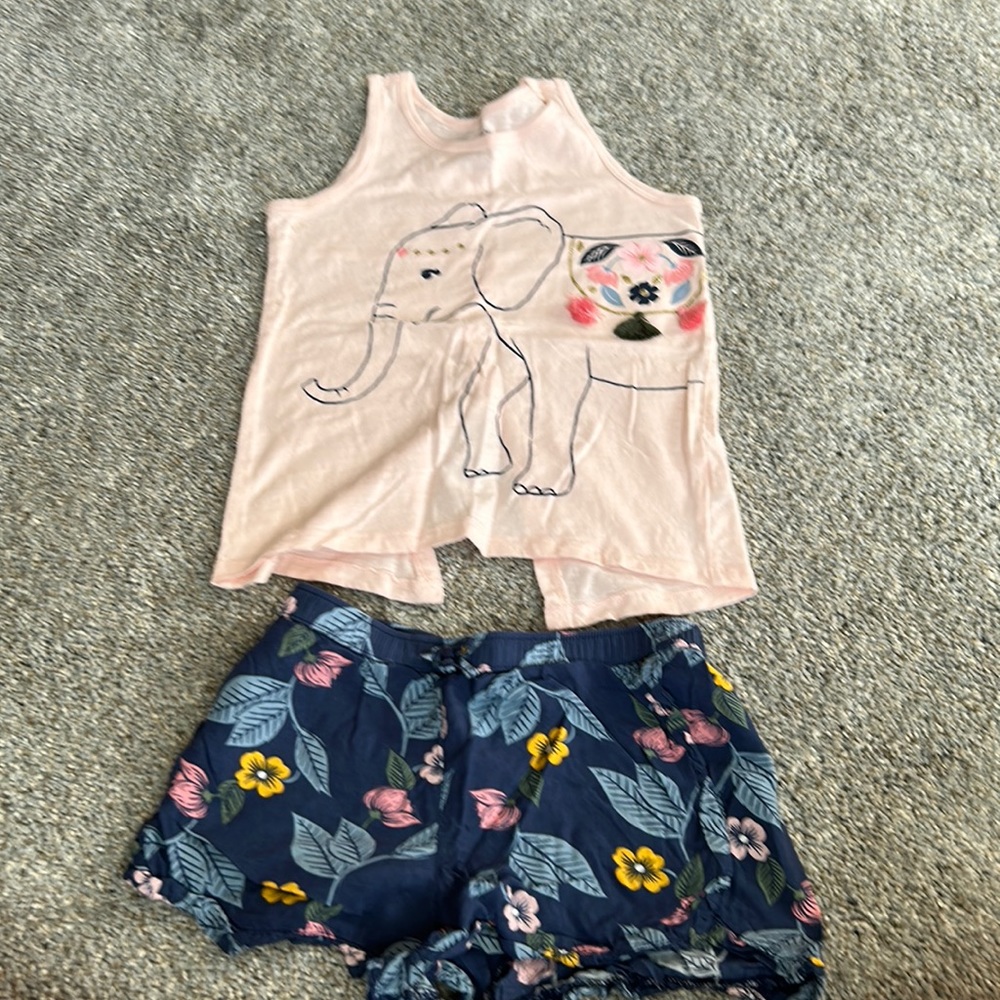 Adorable girls Carter’s outfit